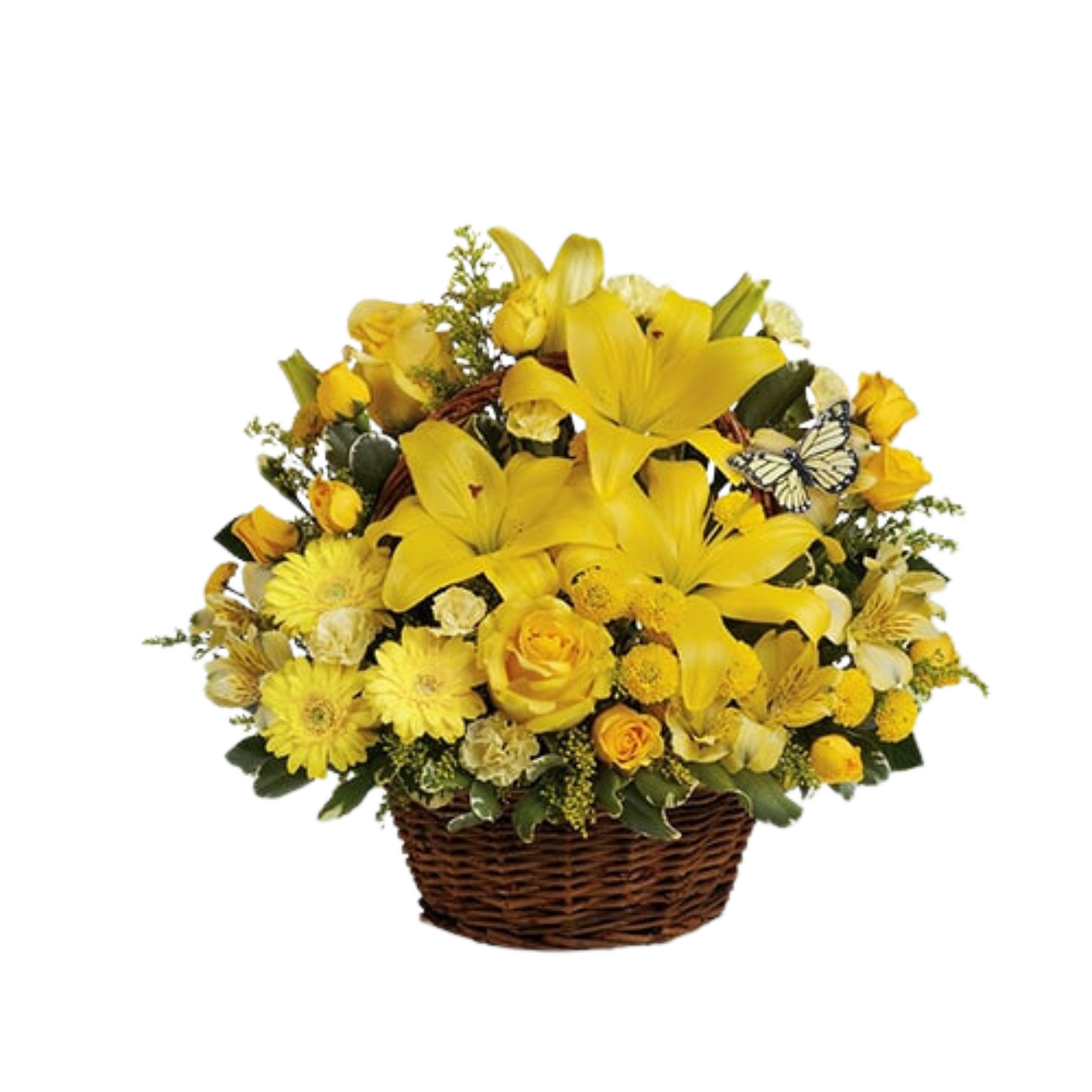 A Basket of Sunshine
