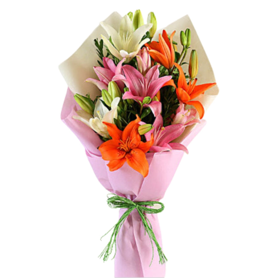 A Symphony of Colors