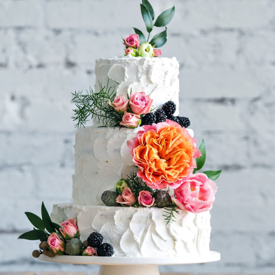 Tropical Paradise 4Kg