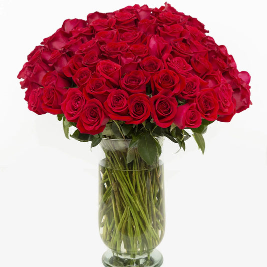 50 Red Roses In Glass Vase